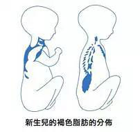 微信图片_20190528144552.jpg