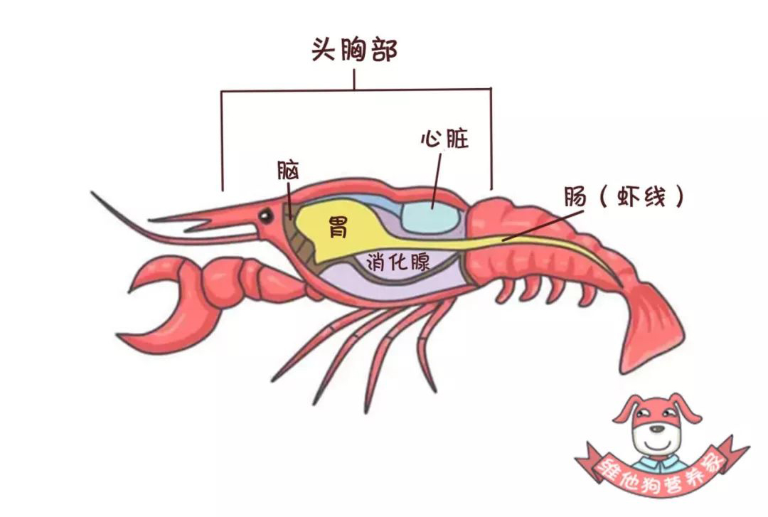 微信图片_20190718091537.jpg