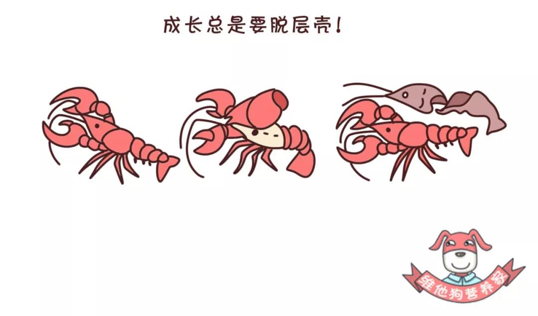 微信图片_20190718091713.jpg
