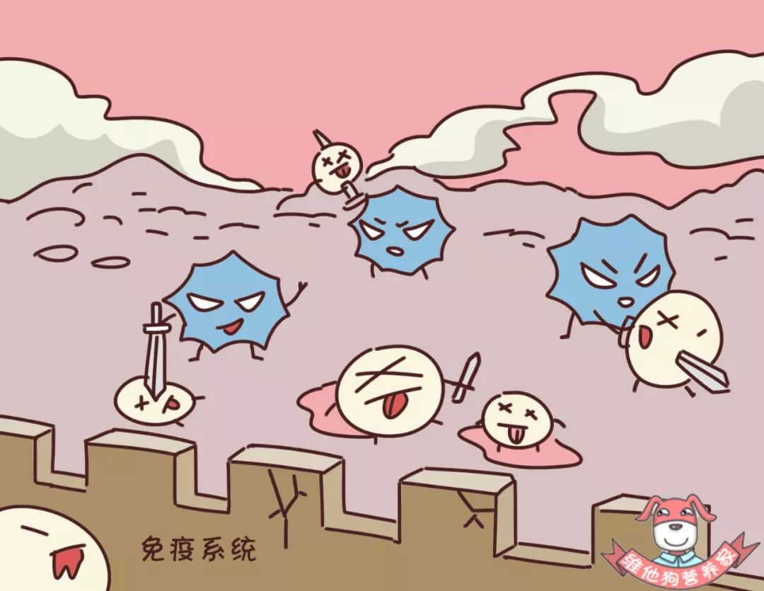 微信图片_20190915144806.jpg