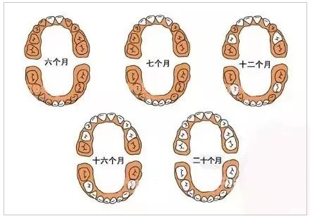 1569837658888814.jpg 微信图片_20190930175729.jpg