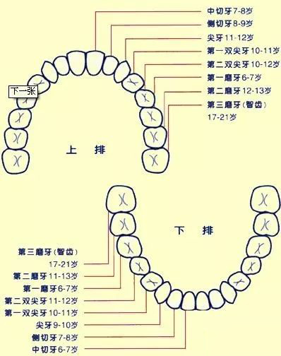 1569837686456720.jpg 微信图片_20190930175732.jpg