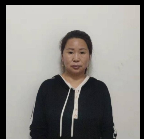 刘阿姨